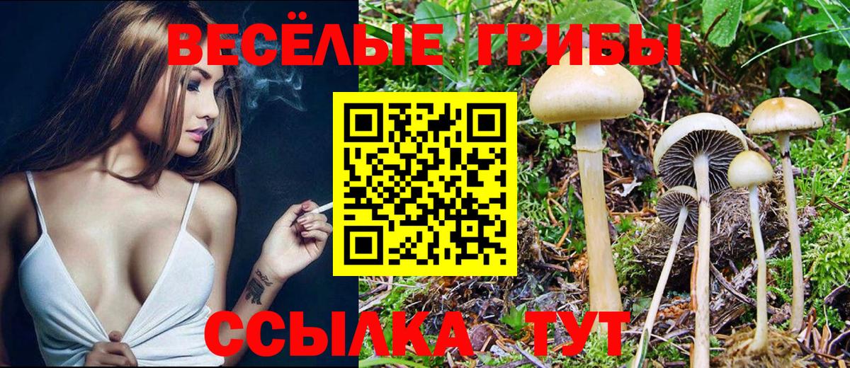 Псилоцибиновые грибы мицелий  Вход с VPN  Бузулук 