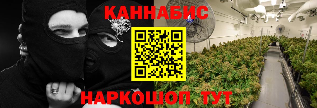 Канабис тримм  Вход с VPN  Бошки Шишки Bruce Banner  Бузулук  Марихуана семена 